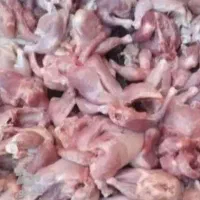 غذای ارزان سگ گربه مرغ پاک کرده زیرقیمت درجهان