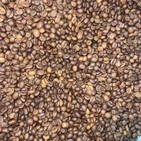 پخش قهوه محبوب پسند(عمده،جزئی)