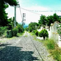 دوقطعه-زمین330متری-داخل-شهرک-منطقه-جنگلی