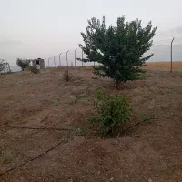 فروش-باغ-شهر-شقایق-نزدیکترین-باغ-شهر-به-شهر