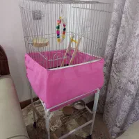 قفس بزرگ و کیف حمل پرنده