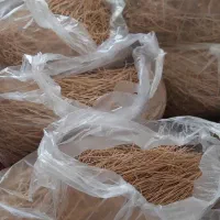 فروش رشته