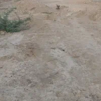 زمین روستای باغو