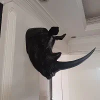 سردیس کرگدن جنس فایبرکلاس|مجسمه، تندیس، ماکت|کرج, گوهردشت|دیوار