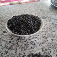 بنوشکی  آماده