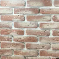 بندکشی نما ودکوراسیون داخلی.جدید ترین اجر درکرمان.|خدمات پیشه و مهارت|کرمان, |دیوار