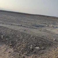 اجاره زمین کشاورزی 2500 متری