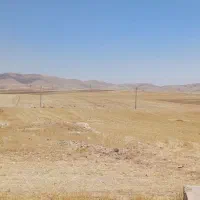 ۱۰۰هکتار یکپارچه دیم سند تکبرگ