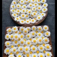 شمع گیفت عروسی نامزدی عقد وحنابندون