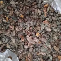 فروش کشمش|خوردنی و آشامیدنی|ایوان, |دیوار