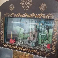 آکواریوم کلبه ای