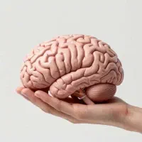 همایش تمرکز و حافظه