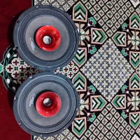 فولرنج سانتاکروز