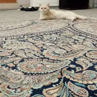 گربه اصیل نژاد دار