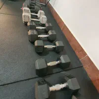 باشگاه بدنسازی خانگی بانوان (شهرصدرا)|خدمات آموزشی|صدرا-فارس, فاز ۱|دیوار