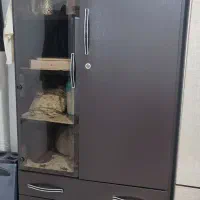 کمد فلزی|جاکفشی، کمد، دراور|کرمانشاه, |دیوار