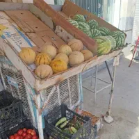 فروش بساط میوه فروشی|فروشگاه و مغازه|شیراز, فاضل|دیوار