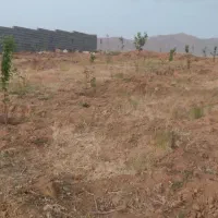 باغشهری ۱۰۰۰ متری دارای آب و برق در منطقه خانزنیان|فروش زمین و ملک کلنگی|شیراز, جانبازان|دیوار