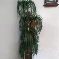 درختچه مصنوعی