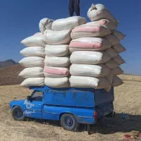 بزرگترین مرکز علوفه فروشی و کاه درجه یک|عمدهفروشی|محمدشهر, محمدشهر|دیوار