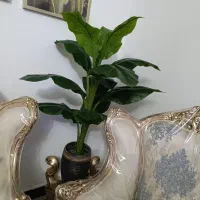 درختچه مصنوعی خارجی