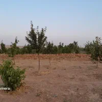 فروش باغ به مساحت ۱۰۰۰متردرحاجی اباد|فروش زمین و ملک کلنگی|همدان, |دیوار