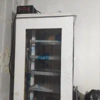 دستگاه جوجه کشی