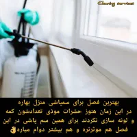 شرکت تمیز کاری .شرکت نظافت کاری در اصفهان برتر|خدمات نظافت|اصفهان, شاهزاده ابراهیم|دیوار