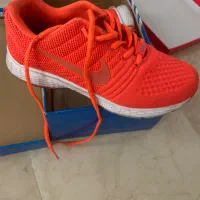کتونی گلبهی