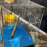 قفس|لوازم جانبی حیوانات|هشتگرد, شهرک راه آهن|دیوار