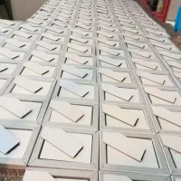 قاب عکس و پاسپارتو