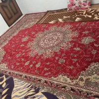 ۴ عدد فرش ۱۲ متری و۱عددفرش۶متری|فرش|اهر, |دیوار
