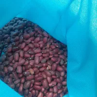 لوبیا|خوردنی و آشامیدنی|چهاردولی, |دیوار