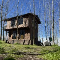 دغدغه ای نمی مونه برات