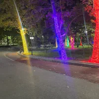 ۰۹۱۸۸۱۱۳۳