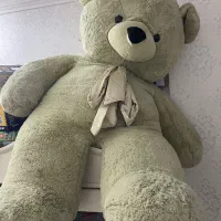 خرس ولنتاین