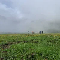 زمین-باغ
