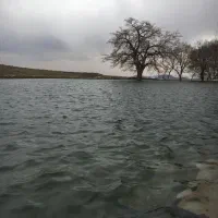 فروش ملک وزمین وساختمان|فروش دفتر صنعتی، کشاورزی، تجاری|سلفچگان, |دیوار