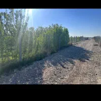 زمین-باغی