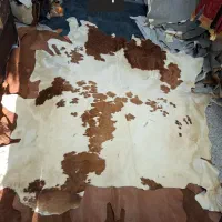 پوست گاو طبیعی در همه رنگ اندازه نمد دستی
