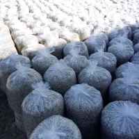 تفاله چغندر|عمده‌فروشی|چهاربرج, |دیوار