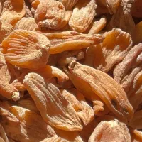 ثعلب|خوردنی و آشامیدنی|تهران, دربند|دیوار