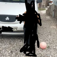 مسافر.دربستی به نقاط کشور