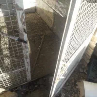 قفس کبوتر|لوازم جانبی حیوانات|تاکستان, |دیوار