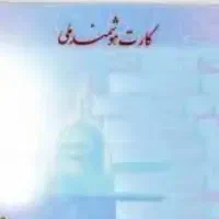 کارت ملی گم کردم