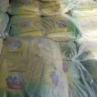 بنج هندی دانه بلند 1121 سانلند|خوردنی و آشامیدنی|چناران, |دیوار