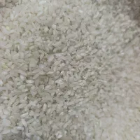 برنج چمپه|خوردنی و آشامیدنی|شیراز, میانرود|دیوار