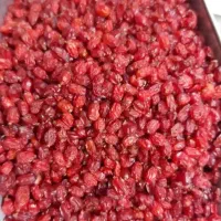 زرشک پفکی درجه یک