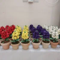 گل رز و شب بو برای عید