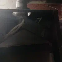 تعمیر پکیج کولر آبی آبگرمکن|خدمات پیشه و مهارت|باقرشهر, |دیوار